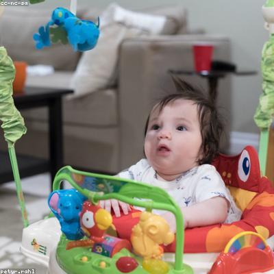 Bebés