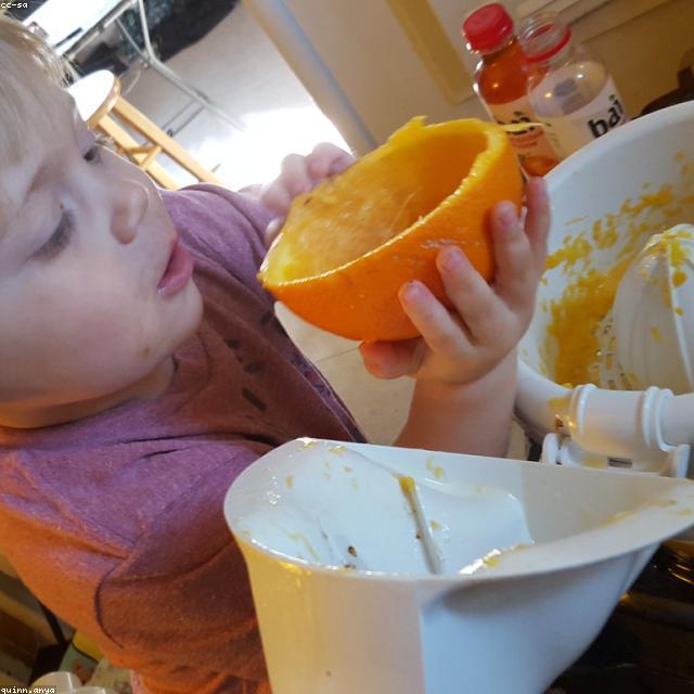 Exprimidor de Cítricos Eléctrico